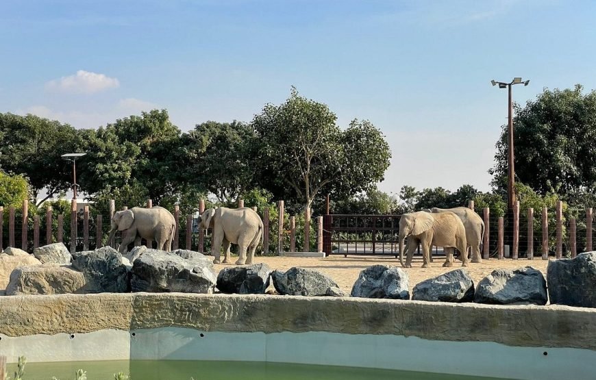 DUBAI SAFARI PARK DAY PASS