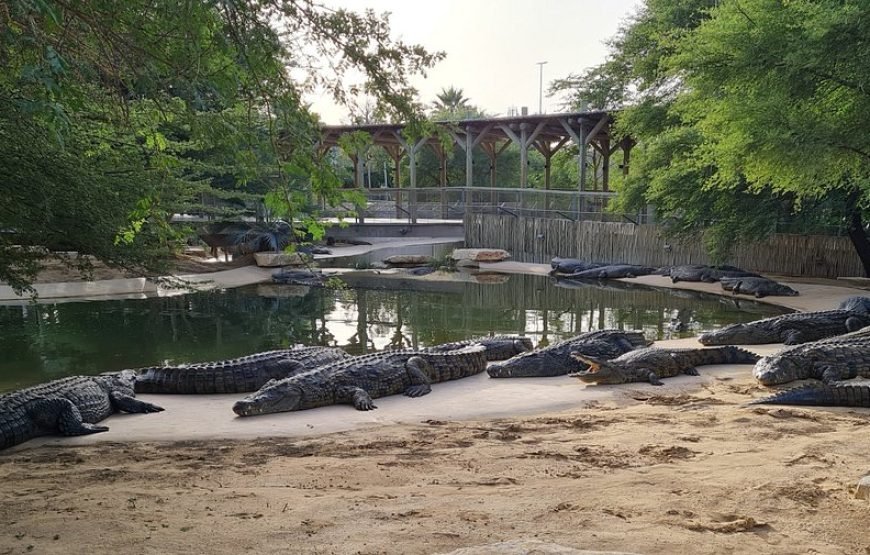 DUBAI CROCODILE PARK