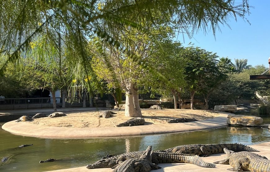 DUBAI CROCODILE PARK